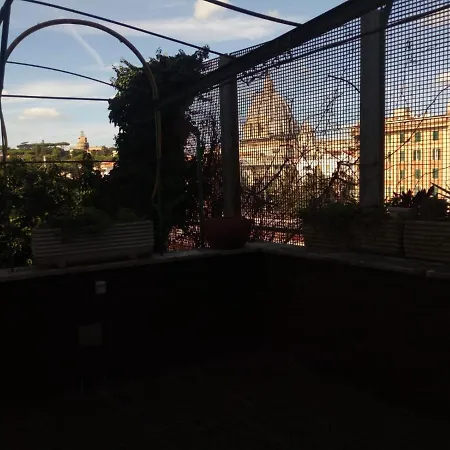 Vatican View Low Cost *